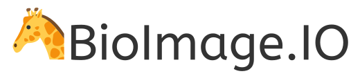 BioImage.IO model-zoo logo