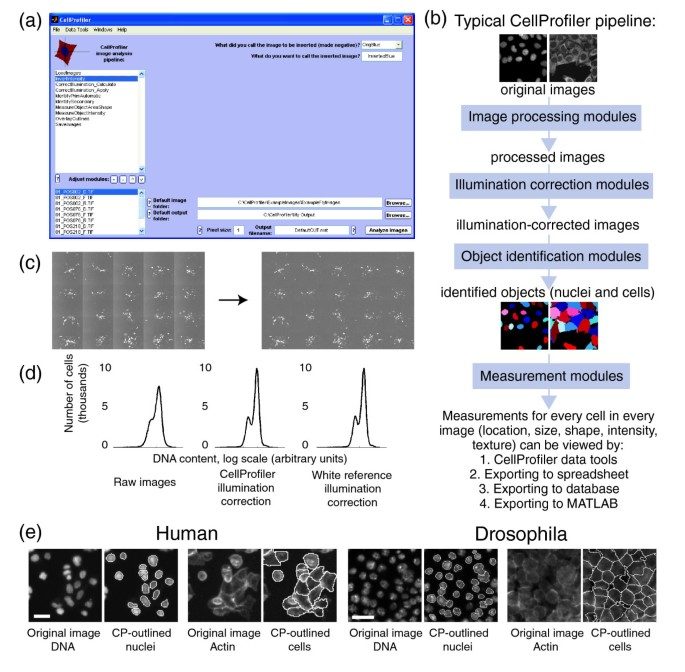 CellProfiler automated cell-image analysis figure
