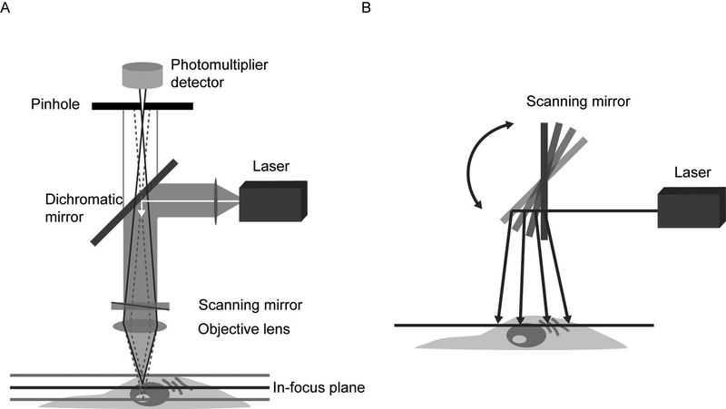 Diagram of the core illumination and detection optics in a confocal microscope