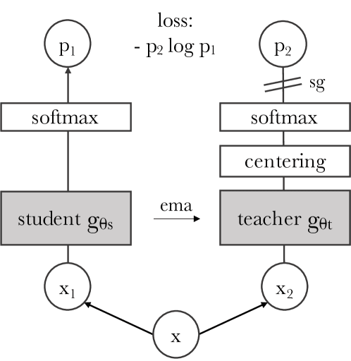 DINO self-supervised attention map figure