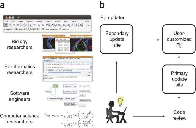 Fiji/ImageJ ecosystem figure