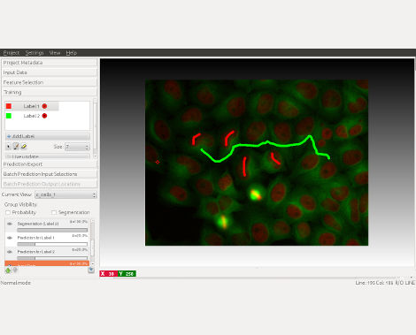 Official ilastik interactive pixel-training interface
