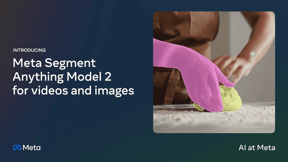 Segment Anything Model 2 video tracking examples