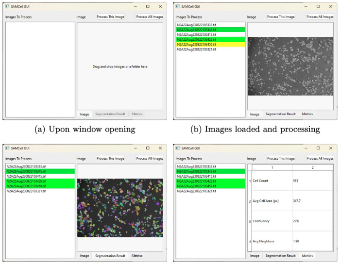 SAMCell interface showing image loading, segmentation masks and extracted cell metrics