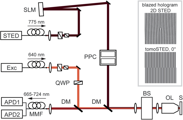 Schematic optical layout of a STED microscope and depletion-beam modulation