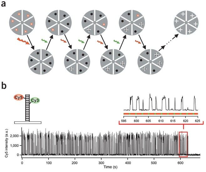 STORM super-resolution reconstruction figure