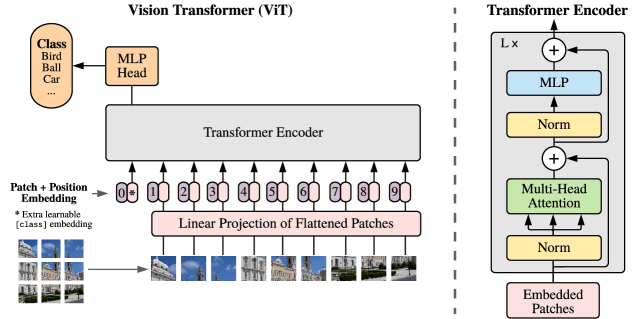 Vision Transformer (ViT) architecture diagram